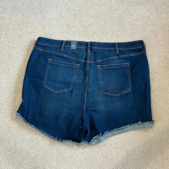 NWT Torrid 5 Inch Vintage Stretch High Rise Jean Shorts Button Fly Dark Wash 26 - Picture 3 of 7